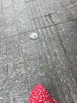 qwe522522 online show from April 16, 2026, 7:09 am