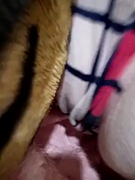 Kahbaocha online show from February 19, 2026, 7:33 pm