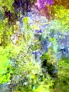 Andypie6 online show from January 13, 2026, 2:37 am