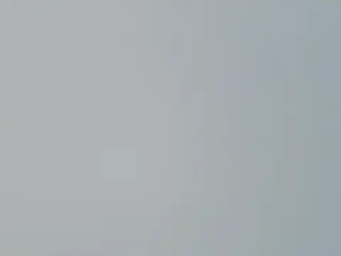 Fish 136 online show from April 1, 2026, 1:30 am