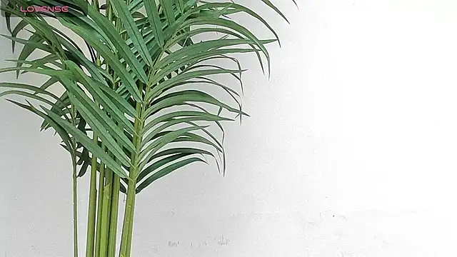 sebastamayo  online show from January 9, 2026, 8:49 pm