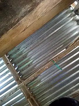 Rousse uwu online show from January 8, 2026, 5:19 pm