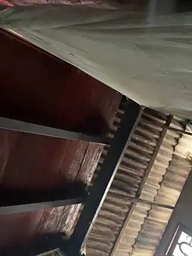 Nika-be online show from February 24, 2026, 4:57 am