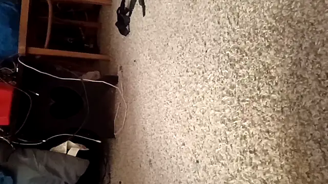 Justis88 online show from December 16, 2025, 1:04 pm