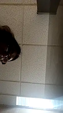 Justis88 online show from January 8, 2026, 12:27 am