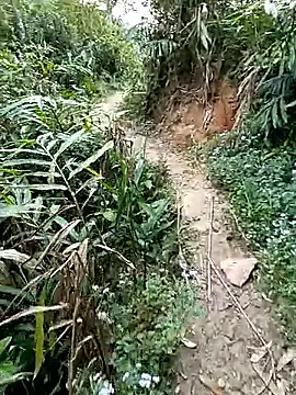 seacyre online show from April 11, 2026, 12:29 am