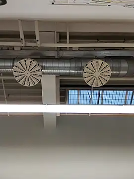 lojza133 online show from December 17, 2025, 8:52 am