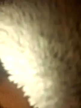 micaela691 online show from December 16, 2025, 9:08 pm