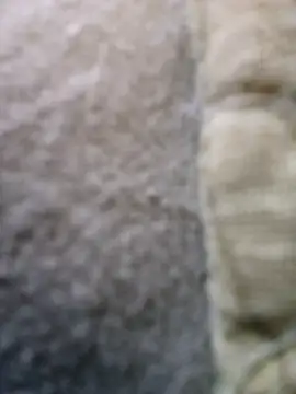 Snapshot of FragrantToe529 chatting on February 16, 2026, 5:44 pm FragrantToe529 online show from February 16, 2026, 5:44 pm