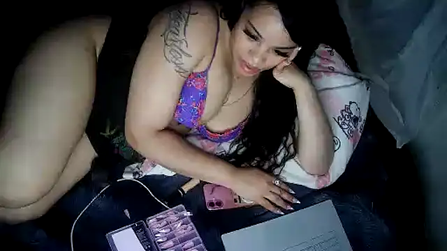 starryari online show from April 19, 2026, 3:29 am