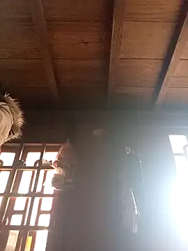 dakota-kis online show from March 21, 2026, 1:29 am