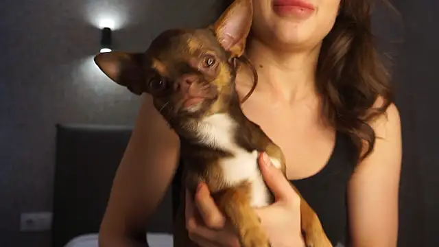 linclars online show from March 6, 2026, 1:39 pm