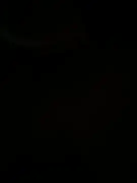 vmmalto online show from March 12, 2026, 7:07 pm