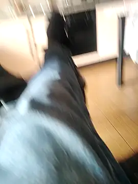 Sweet Daddy John online show from March 3, 2026, 11:39 am