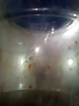 him220 online show from March 12, 2026, 2:06 am