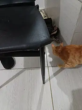 hotbuch online show from January 6, 2026, 6:56 pm