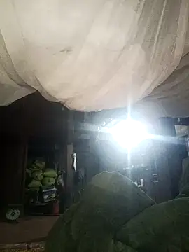 Piu 18 online show from January 13, 2026, 12:20 pm