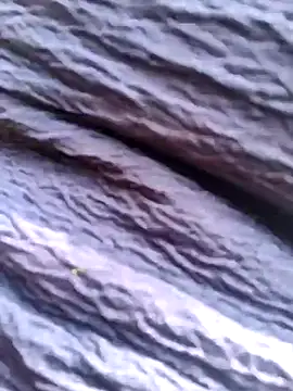 Queen chayna online show from January 14, 2026, 6:39 am