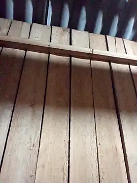 Agnes-baby online show from February 12, 2026, 1:44 pm