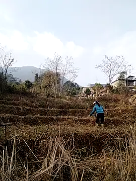 alycen online show from January 13, 2026, 2:37 am