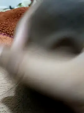  chota bunny  online show from February 9, 2026, 8:18 pm