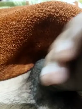  chota bunny  online show from February 3, 2026, 7:57 am