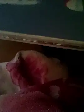 thich lo online show from January 15, 2026, 6:17 am