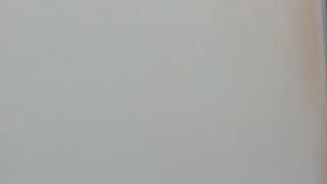 Missy 22  online show from April 15, 2026, 1:37 pm