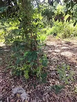 desiBig dick online show from March 23, 2026, 8:58 am