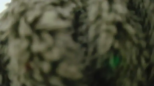 Masui online show from February 8, 2026, 7:50 am