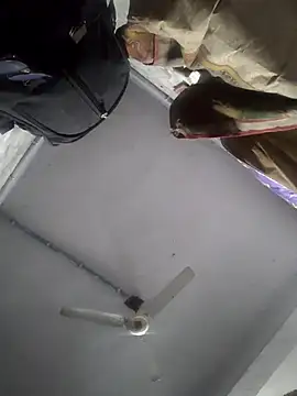 HadDrawers online show from February 5, 2026, 7:37 am