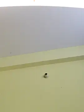 trinasa online show from April 8, 2026, 7:48 pm