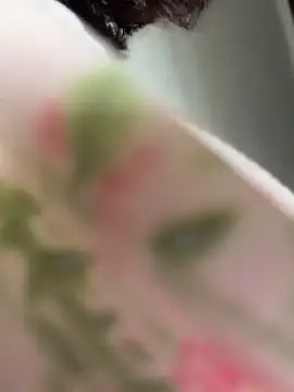 wy2026 online show from April 12, 2026, 3:21 am