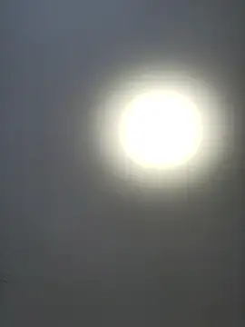 roksa2026 online show from January 14, 2026, 8:07 am