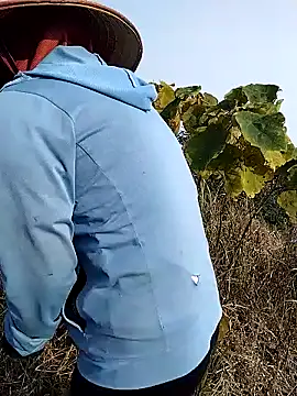 Snapshot of waaini99 chatting on January 12, 2026, 1:56 am waaini99 online show from January 12, 2026, 1:56 am