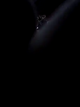 Boy4youuu online show from January 13, 2026, 9:19 pm