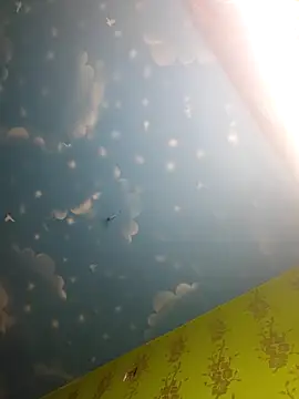 arushi bb online show from February 12, 2026, 6:07 pm