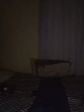 Snapshot of Princess2002Electron chatting on February 1, 2026, 10:08 pm Princess2002Electron online show from February 1, 2026, 10:08 pm