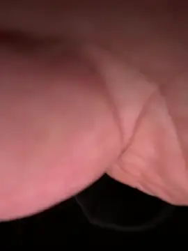 ForagingZealand online show from January 13, 2026, 2:37 am