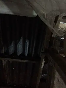 sun-shii online show from March 30, 2026, 10:55 pm