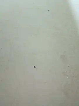 Lyly-68688 online show from February 9, 2026, 2:15 pm