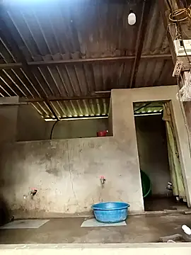 -Likin- online show from March 31, 2026, 9:33 am