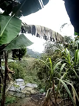 kaia-cam online show from February 20, 2026, 6:37 am