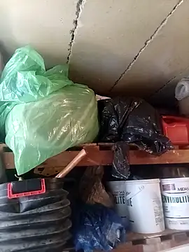 dicklife3485 online show from March 30, 2026, 8:27 am