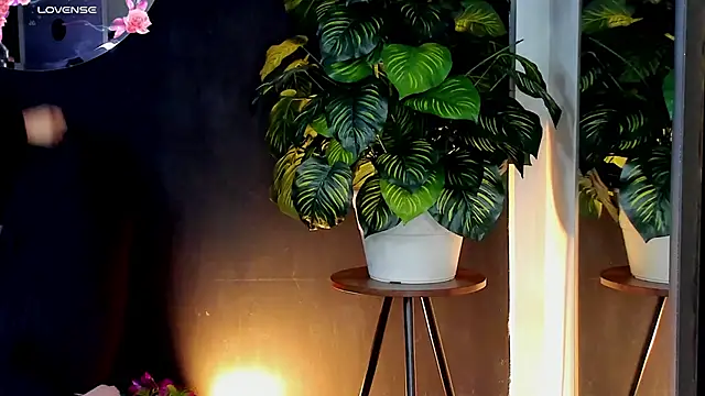 Noaah25  online show from April 10, 2026, 3:24 am