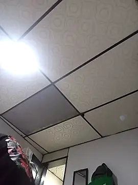 ahsssex2026 online show from February 7, 2026, 10:12 am