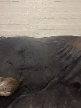 AlisRoxy online show from March 15, 2026, 9:00 pm