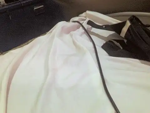 champers1234 online show from February 13, 2026, 12:49 pm