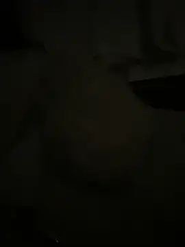 Snapshot of japosamel chatting on May 16, 2026, 12:20 am japosamel online show from May 16, 2026, 12:20 am