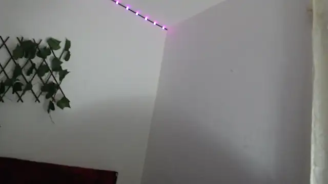 killua parker online show from February 10, 2026, 3:38 am